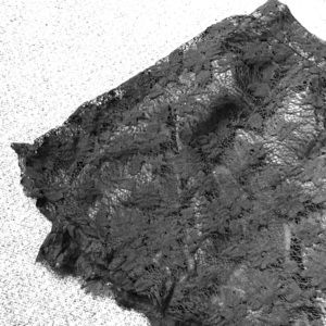 Charlotte Russe Lace Skirt